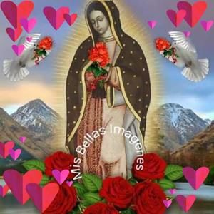 Meet your Posher, Norma